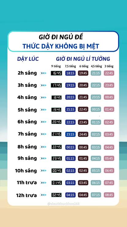 Chu kỳ giấc ngủ